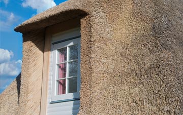 Narracott thatch roof disadvantages